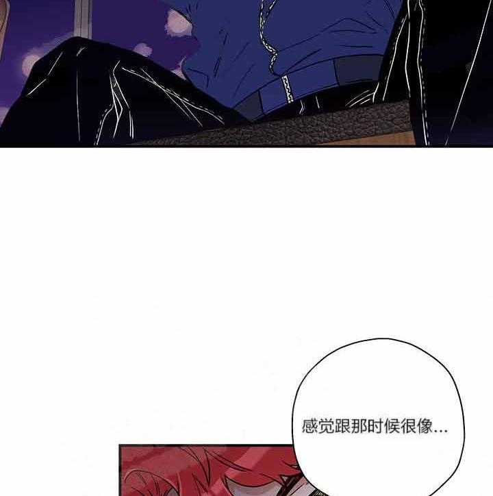 蠢狼抱枕饲养录 第2话 第11页