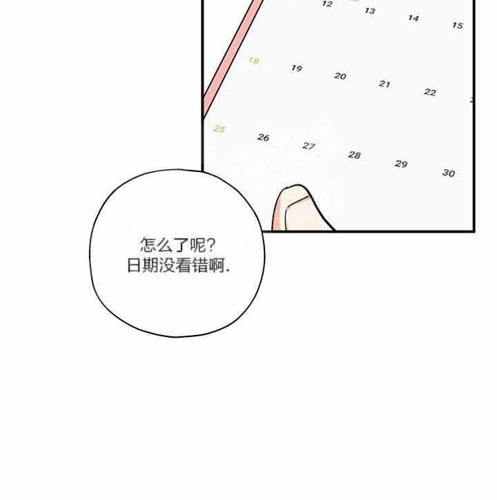 蠢狼抱枕饲养录 第2话 第13页