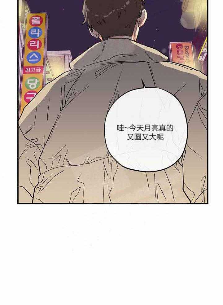 蠢狼抱枕饲养录 第2话 第33页