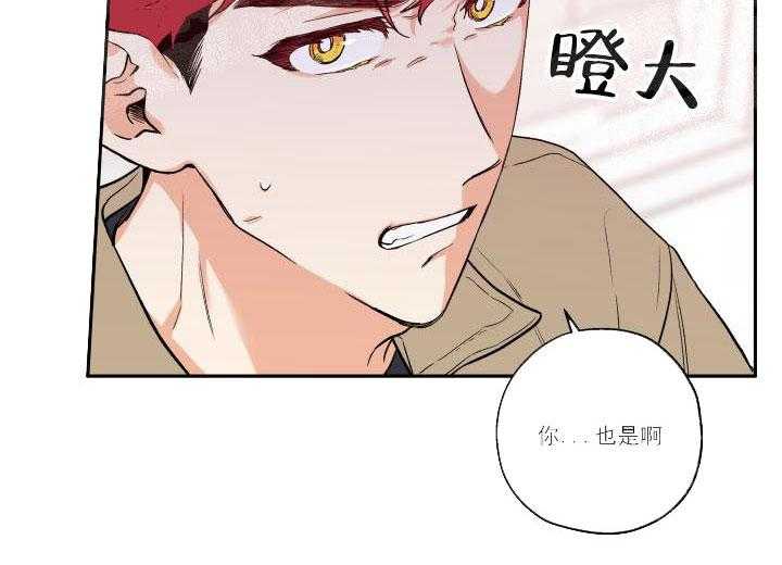 蠢狼抱枕饲养录 第20话 第12页