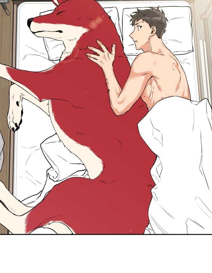 蠢狼抱枕饲养录 第22话 第4页