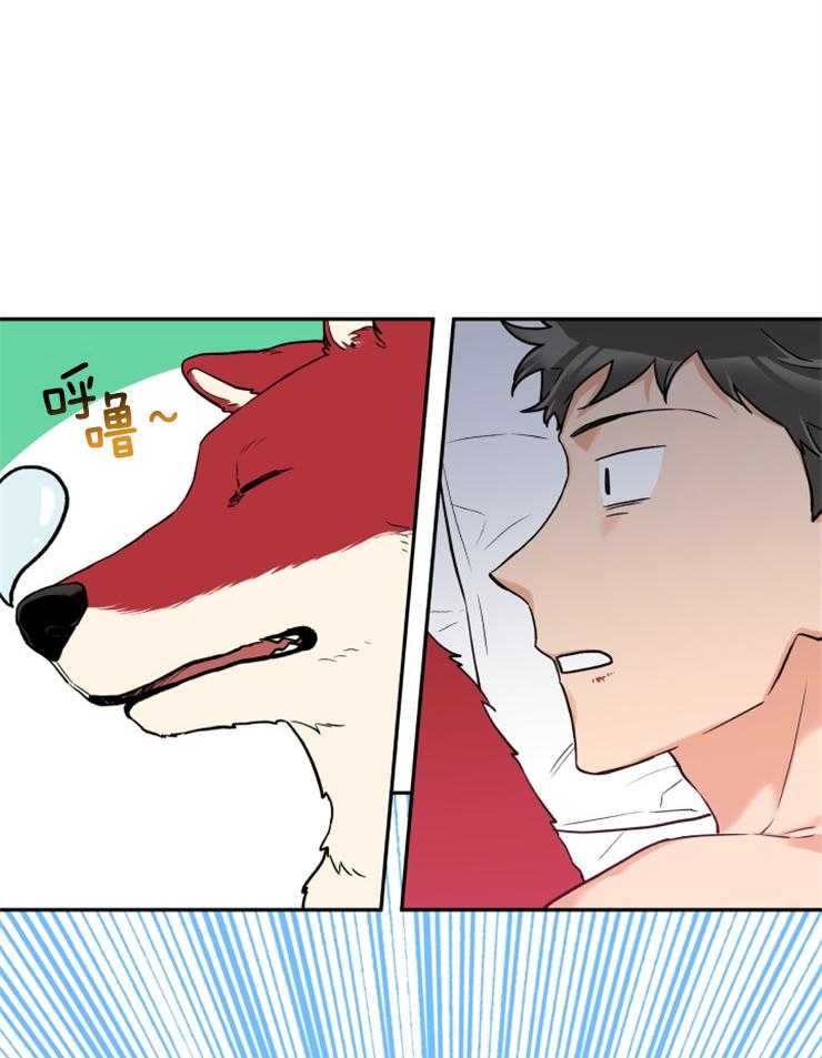 蠢狼抱枕饲养录 第22话 第5页