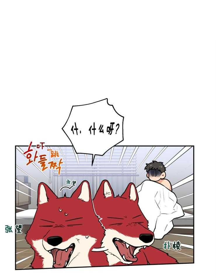 蠢狼抱枕饲养录 第22话 第7页