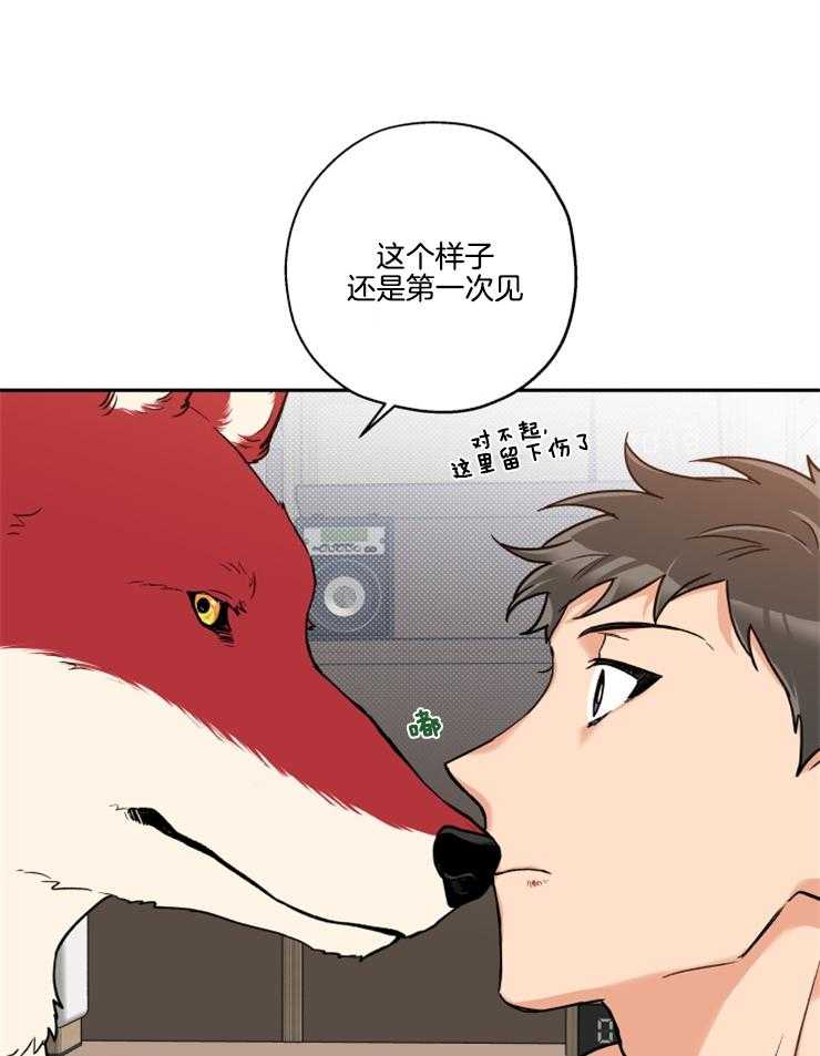 蠢狼抱枕饲养录 第22话 第10页