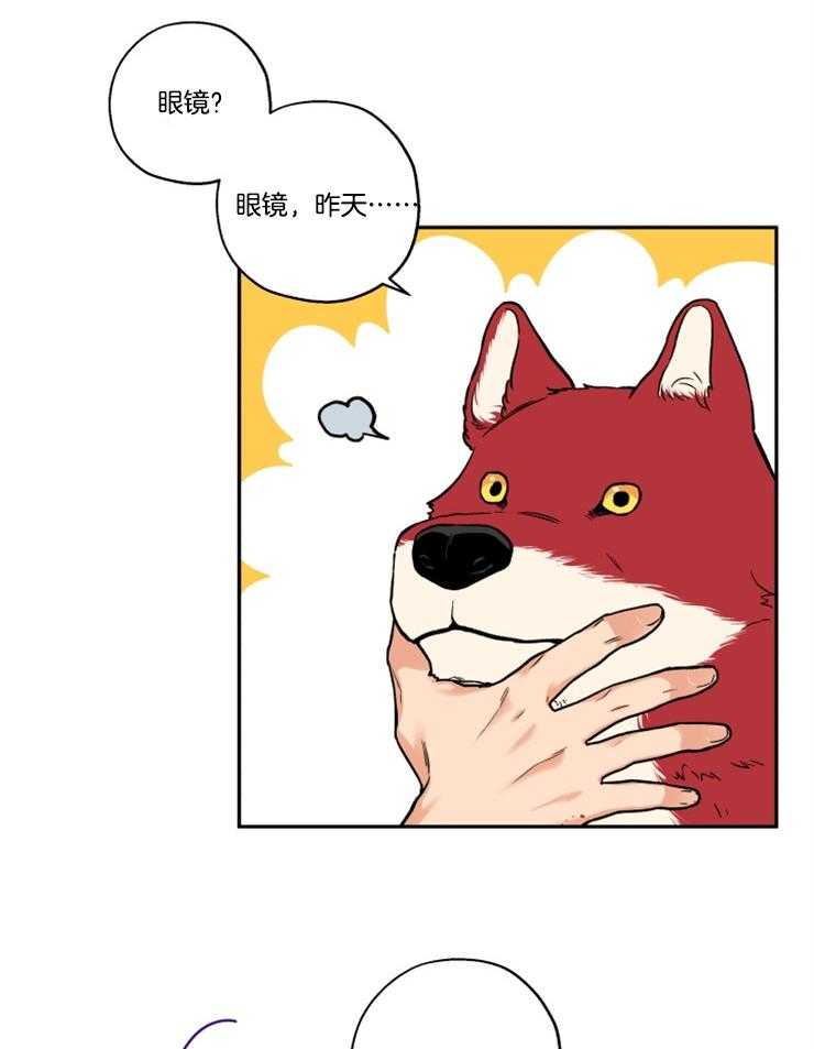 蠢狼抱枕饲养录 第22话 第13页