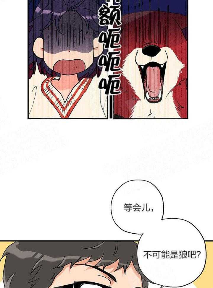 蠢狼抱枕饲养录 第3话 第5页