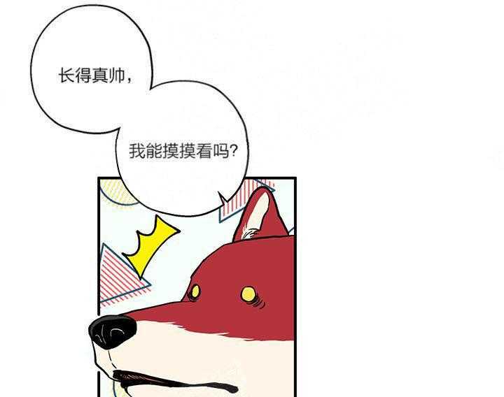 蠢狼抱枕饲养录 第3话 第8页