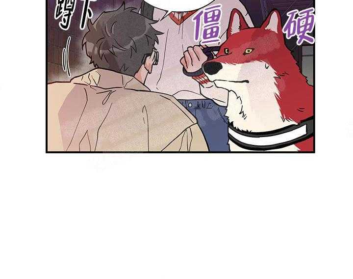 蠢狼抱枕饲养录 第3话 第11页