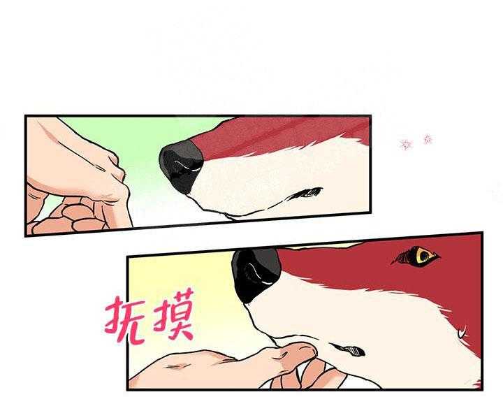 蠢狼抱枕饲养录 第3话 第12页