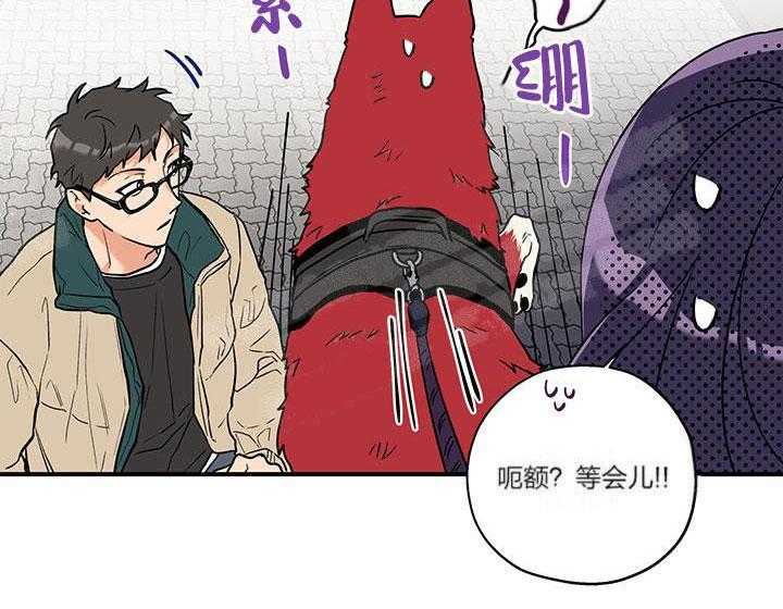 蠢狼抱枕饲养录 第3话 第20页