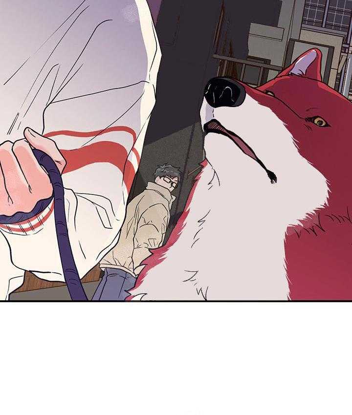 蠢狼抱枕饲养录 第3话 第25页