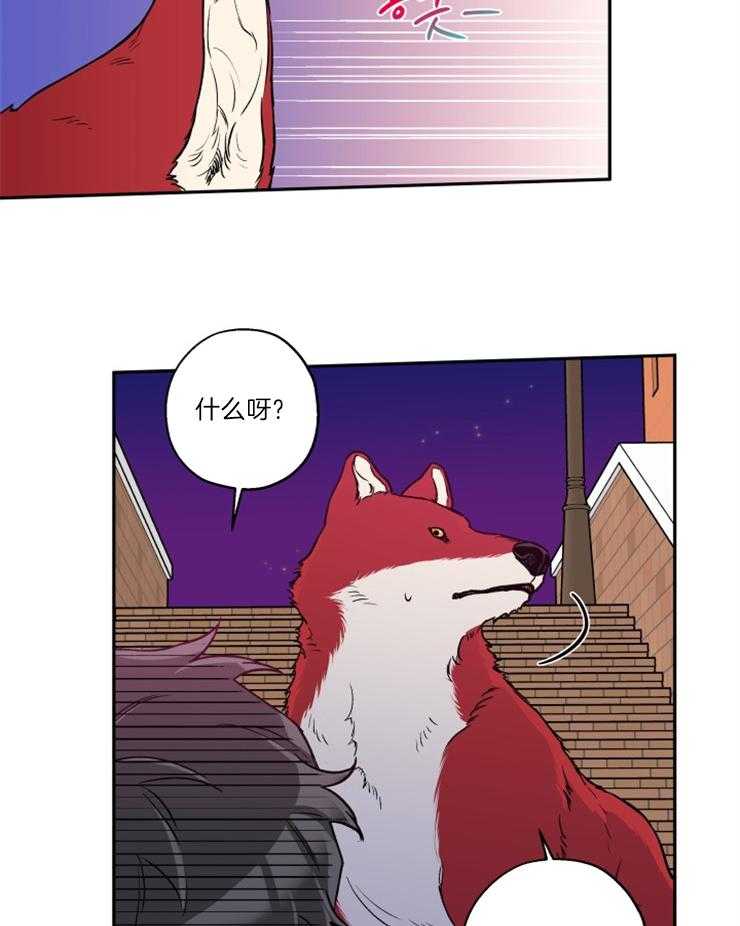 蠢狼抱枕饲养录 第35话 第2页