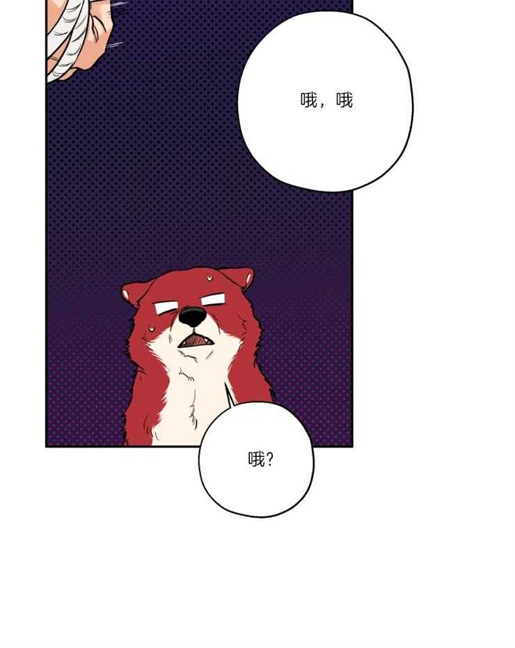 蠢狼抱枕饲养录 第35话 第10页