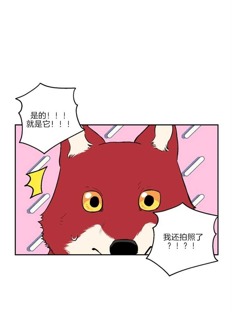 蠢狼抱枕饲养录 第35话 第16页