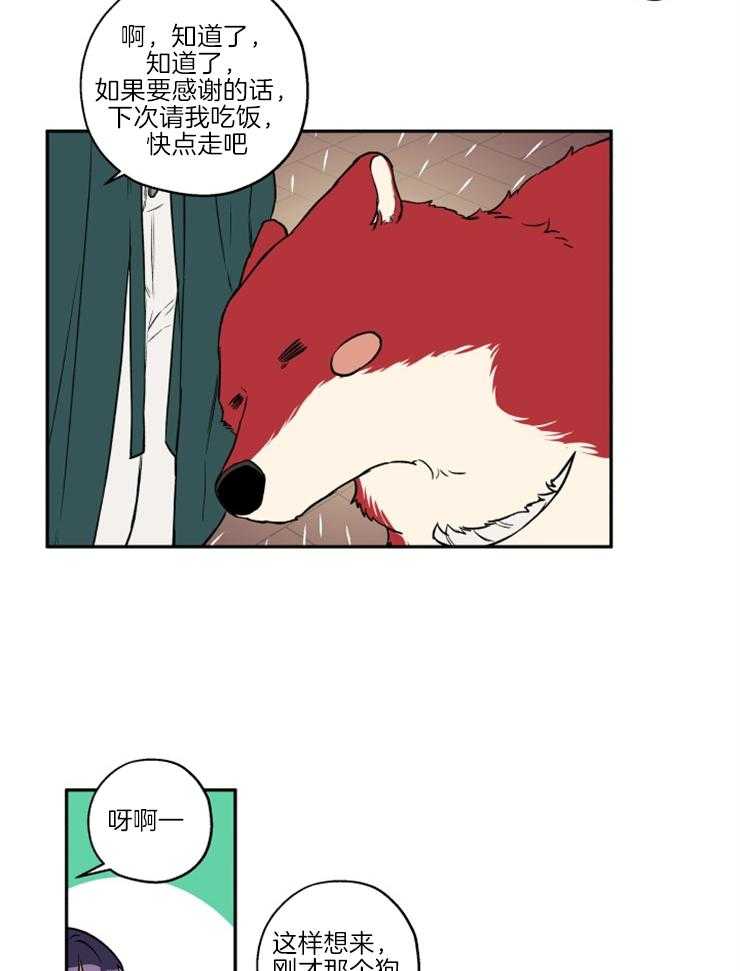 蠢狼抱枕饲养录 第36话 第9页