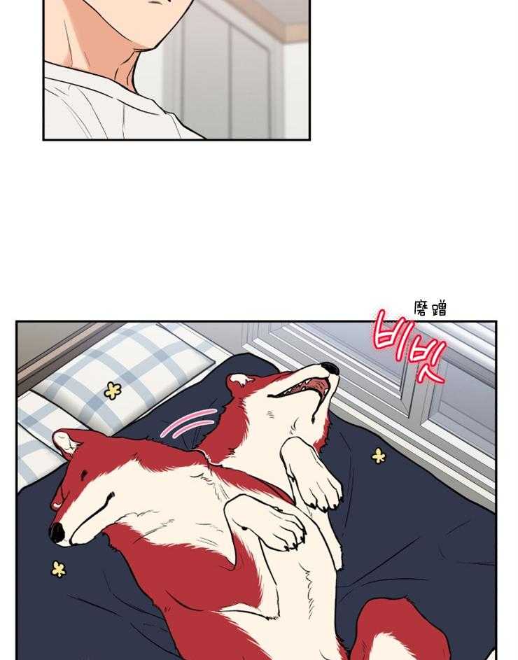 蠢狼抱枕饲养录 第36话 第23页