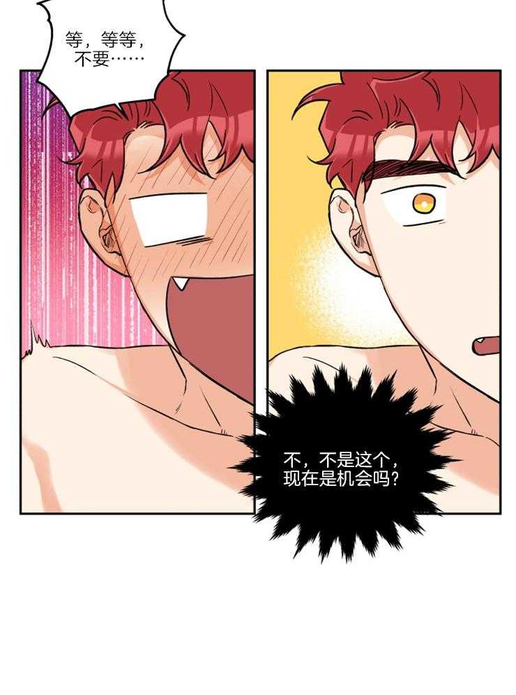 蠢狼抱枕饲养录 第37话 第4页