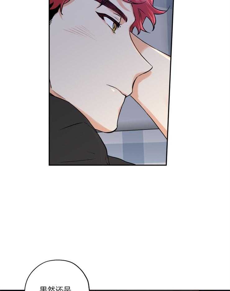 蠢狼抱枕饲养录 第37话 第12页