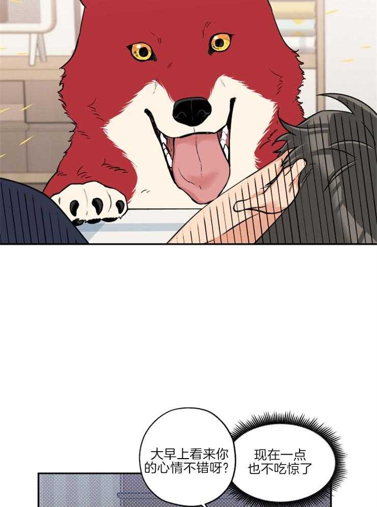 蠢狼抱枕饲养录 第38话 第5页