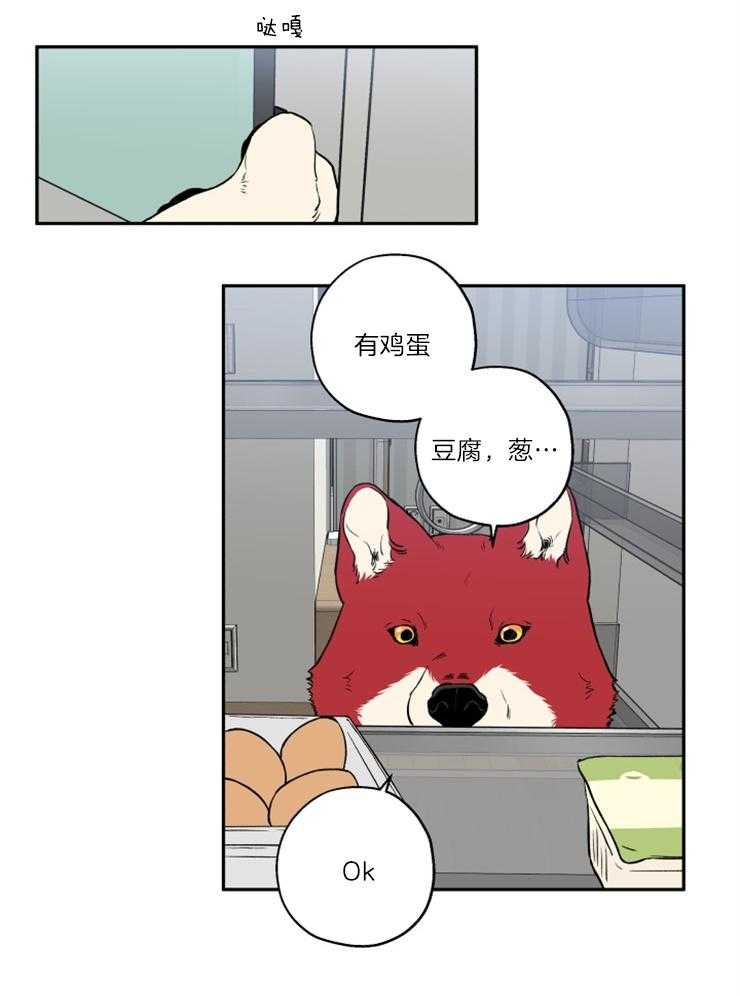 蠢狼抱枕饲养录 第38话 第13页