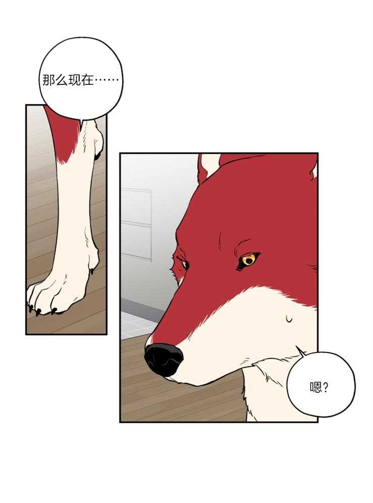 蠢狼抱枕饲养录 第38话 第14页