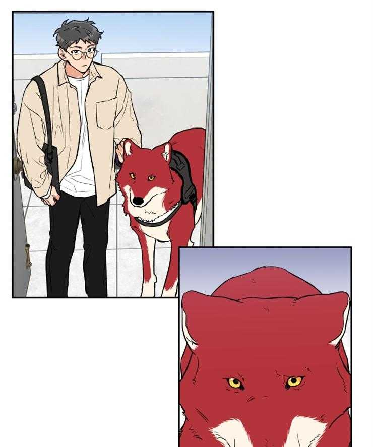 蠢狼抱枕饲养录 第38话 第20页