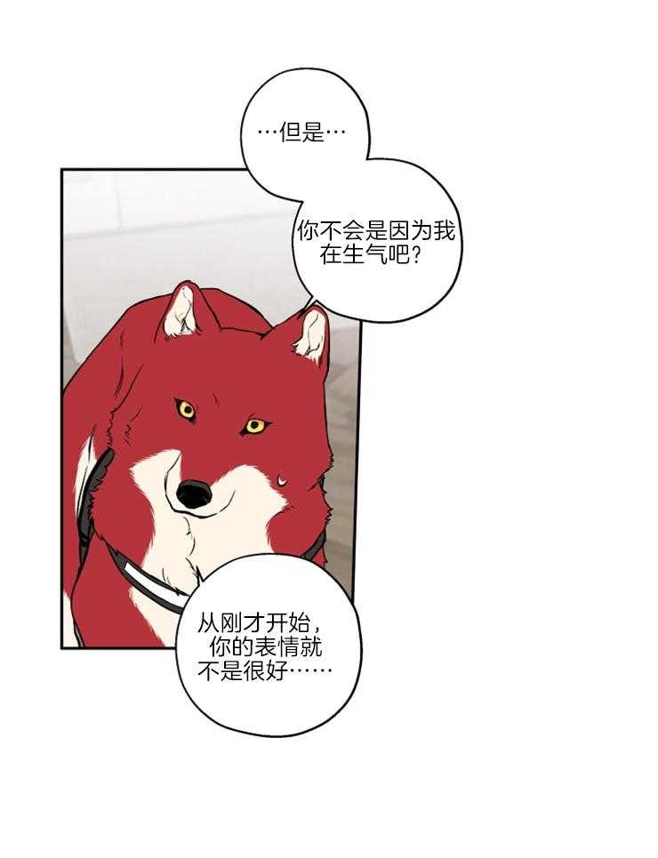 蠢狼抱枕饲养录 第39话 第3页