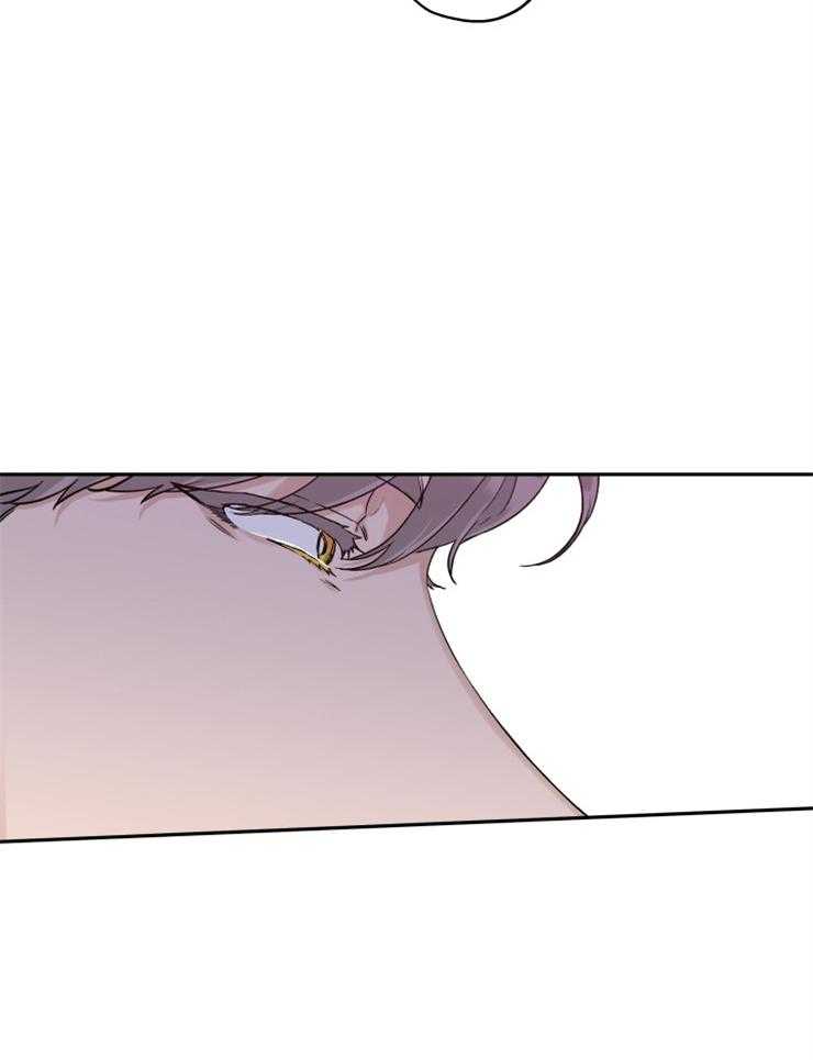 蠢狼抱枕饲养录 第39话 第13页