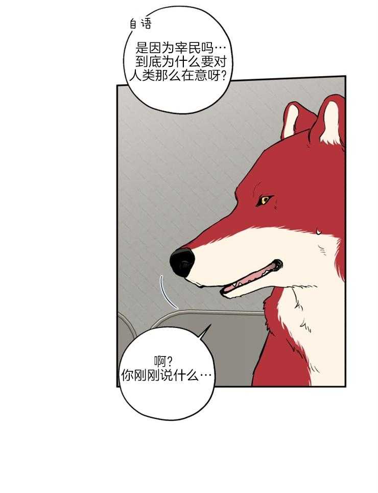 蠢狼抱枕饲养录 第39话 第14页