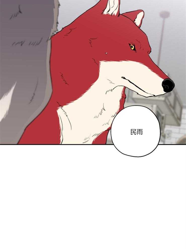 蠢狼抱枕饲养录 第39话 第19页