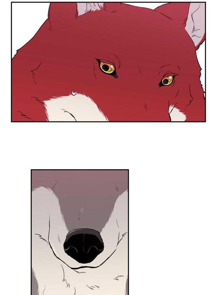 蠢狼抱枕饲养录 第39话 第20页