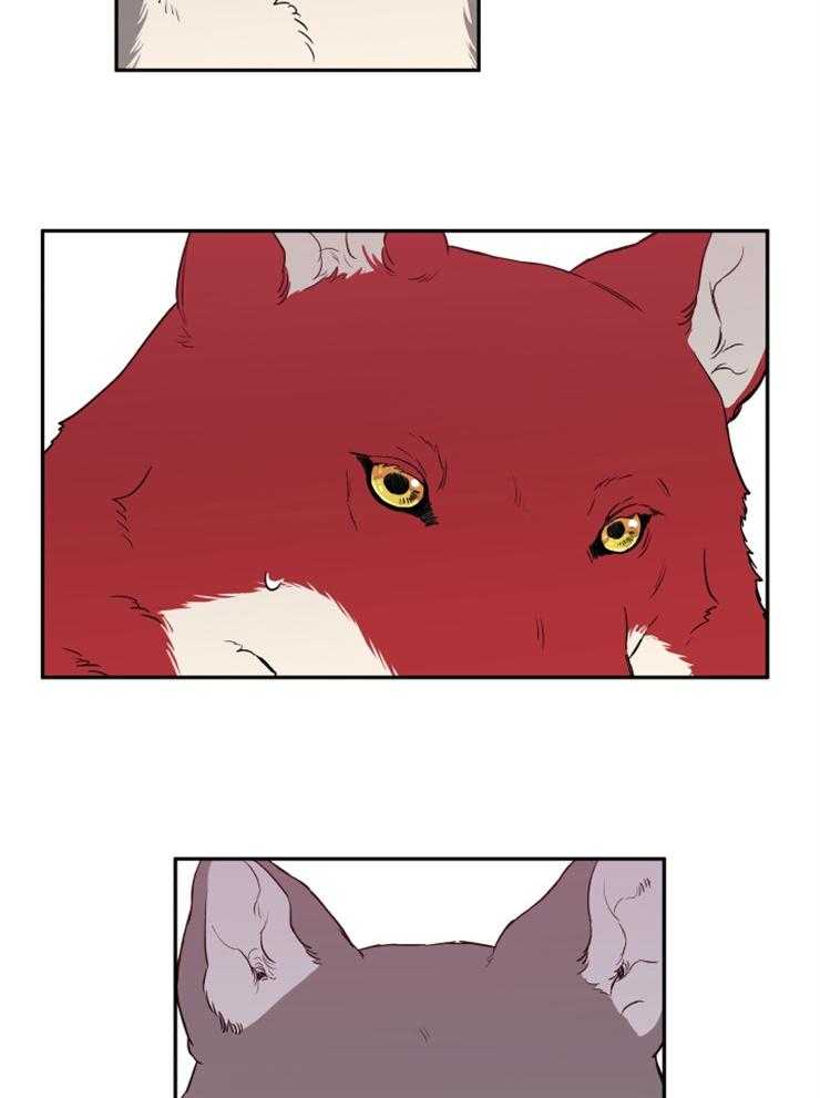 蠢狼抱枕饲养录 第39话 第21页