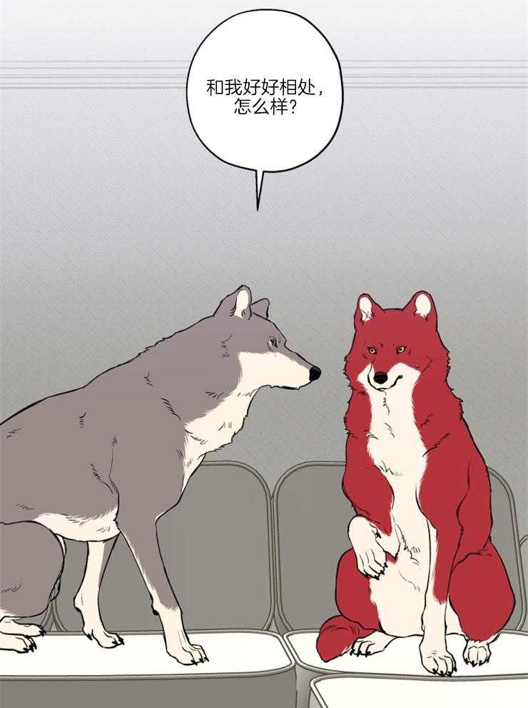 蠢狼抱枕饲养录 第39话 第23页