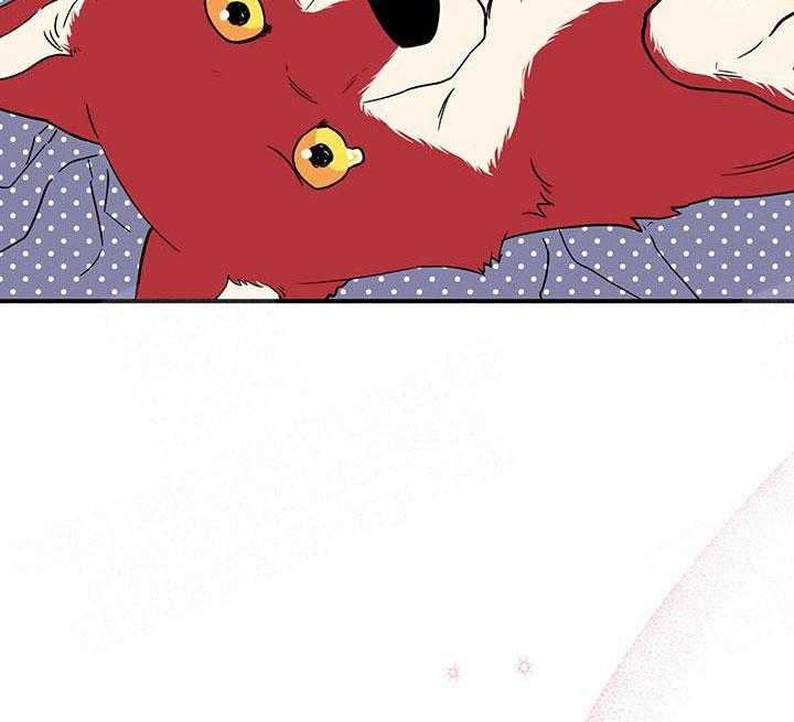 蠢狼抱枕饲养录第4话图