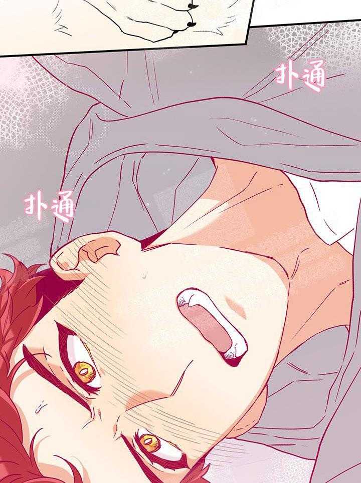 蠢狼抱枕饲养录 第4话 第26页