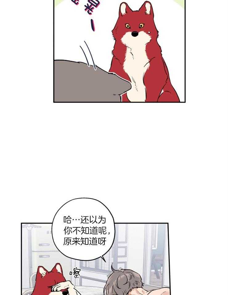 蠢狼抱枕饲养录 第40话 第2页