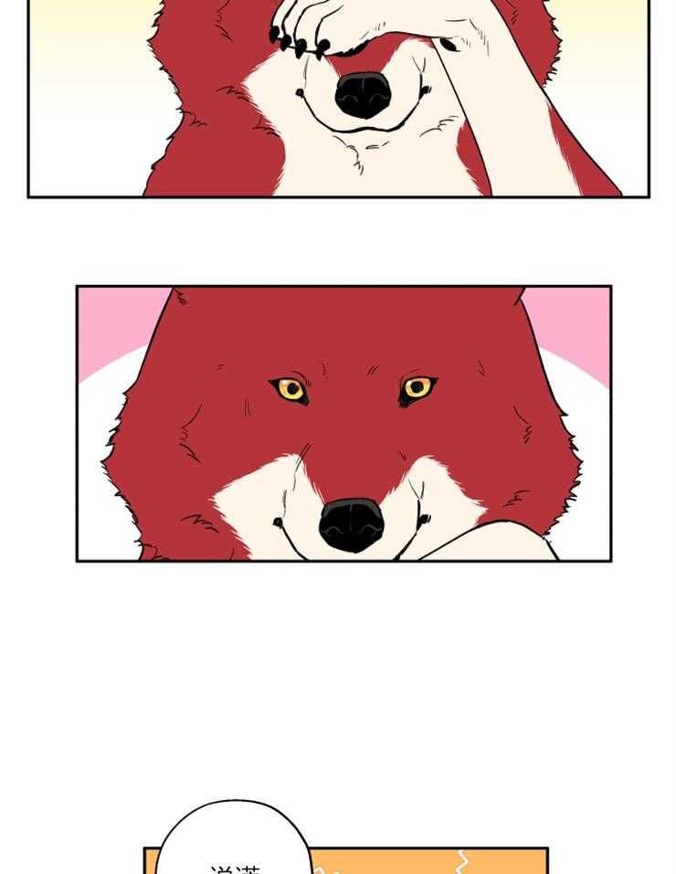 蠢狼抱枕饲养录 第40话 第5页