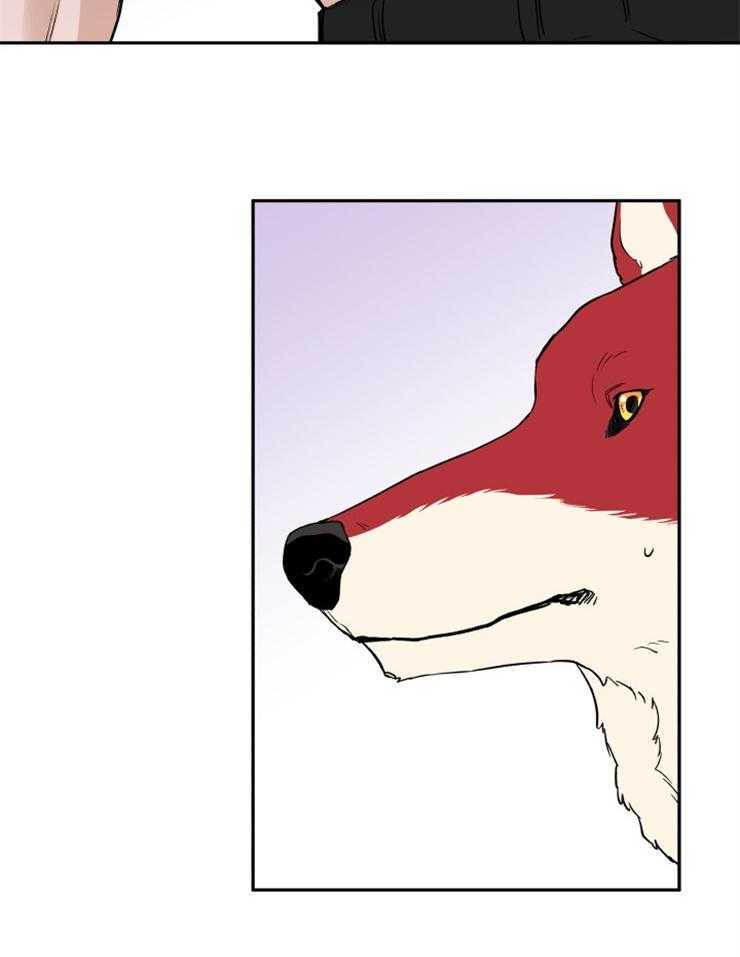 蠢狼抱枕饲养录 第40话 第9页