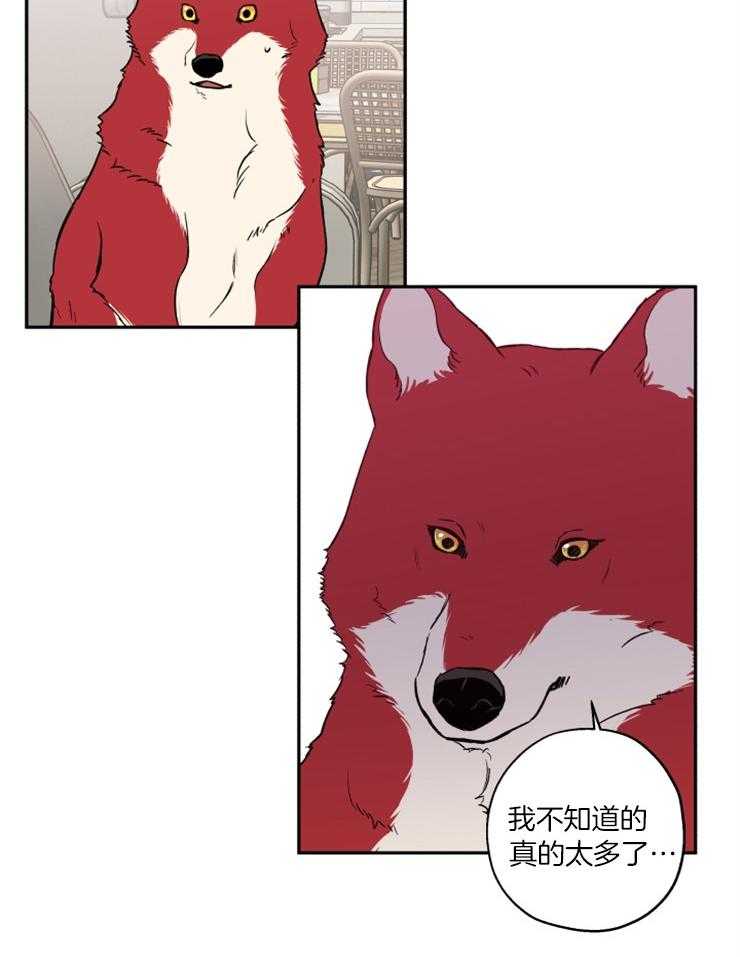 蠢狼抱枕饲养录 第40话 第17页