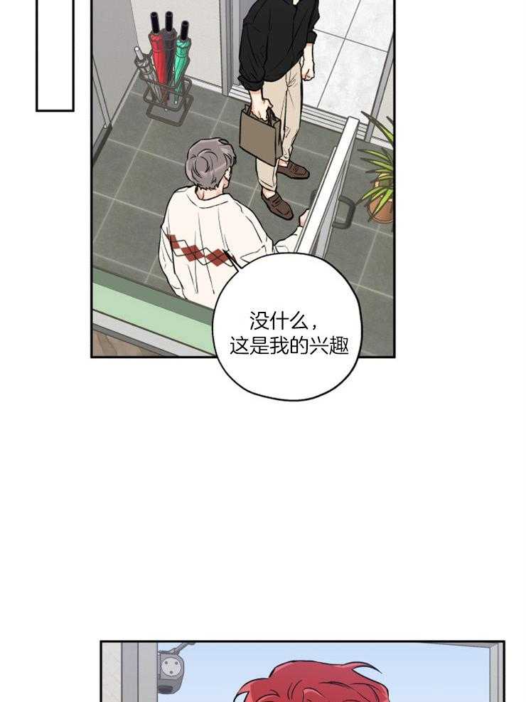 蠢狼抱枕饲养录第41话图