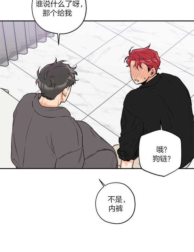 蠢狼抱枕饲养录 第42话 第18页