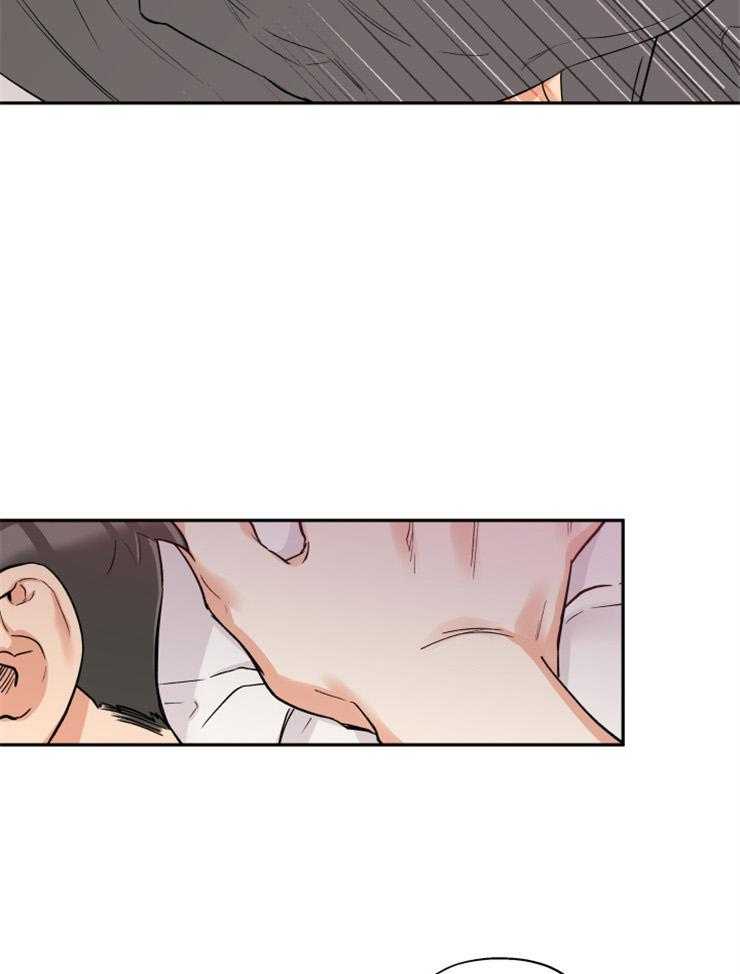 蠢狼抱枕饲养录第44话图