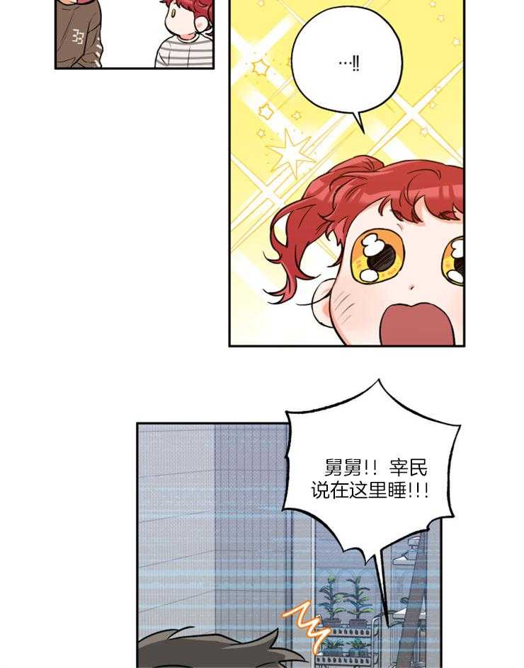 蠢狼抱枕饲养录 第46话 第13页