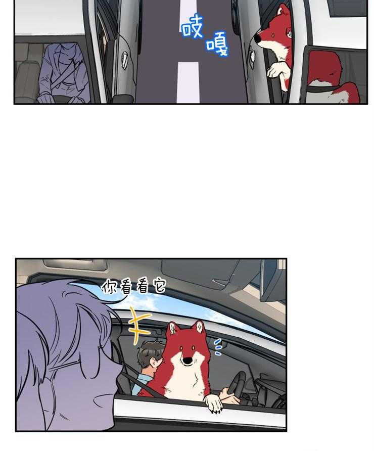 蠢狼抱枕饲养录 第60话 第2页