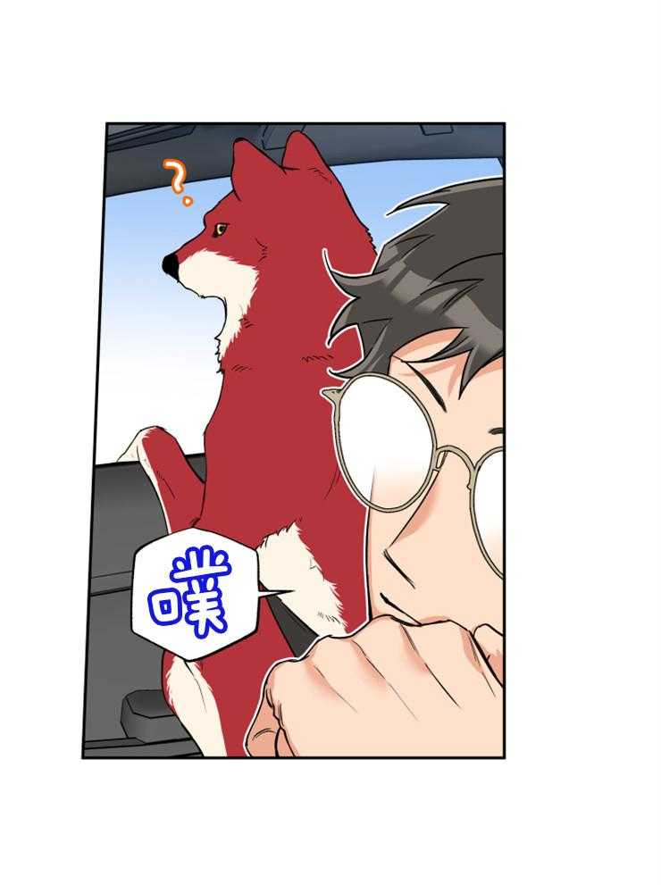 蠢狼抱枕饲养录 第60话 第4页