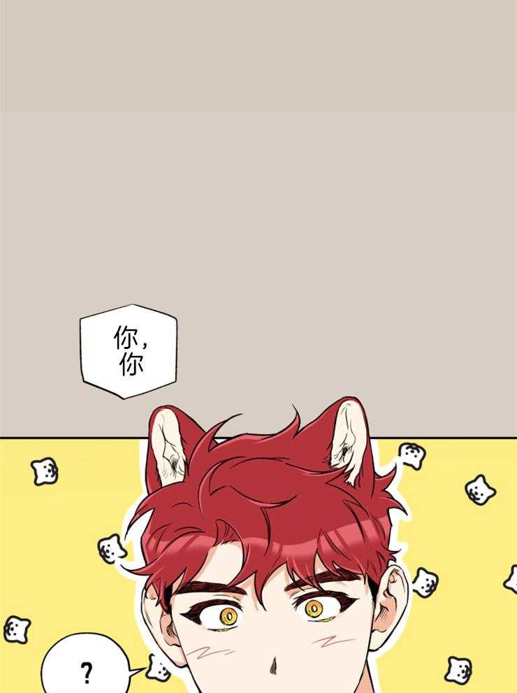 蠢狼抱枕饲养录 第60话 第15页