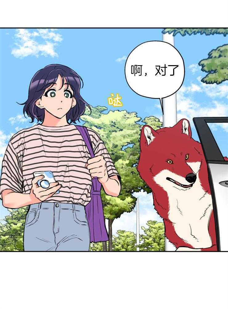 蠢狼抱枕饲养录 第61话 第4页