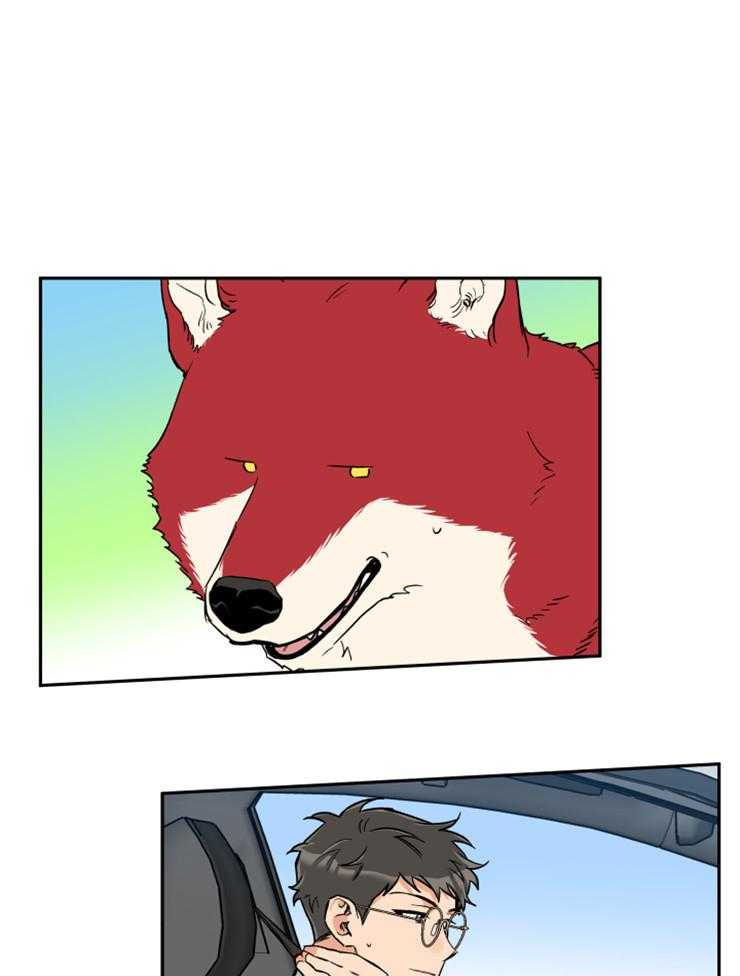 蠢狼抱枕饲养录 第61话 第6页