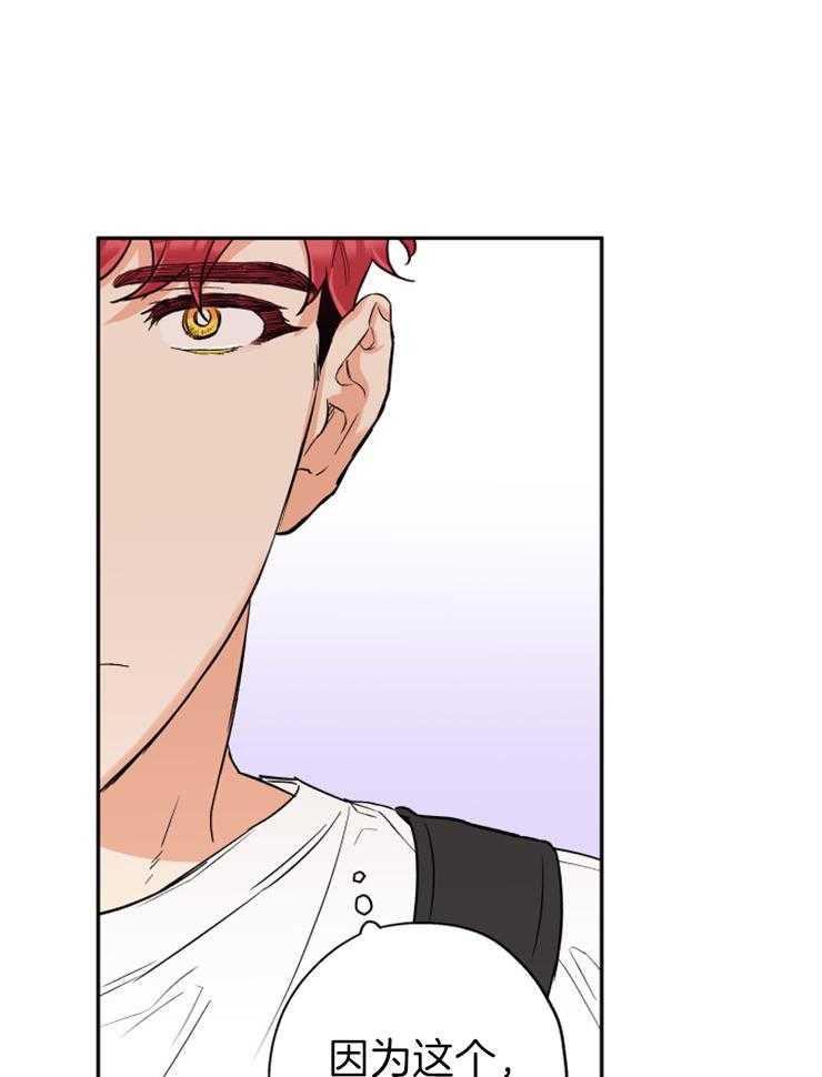 蠢狼抱枕饲养录 第65话 第11页