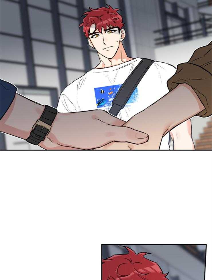 蠢狼抱枕饲养录 第66话 第4页